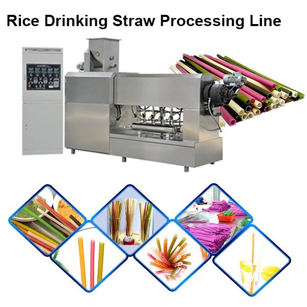 100% Biodegradable PLA Drinking Straw Making Machine Disposable Eco Friendly Polylactic Acid Straw #1 image