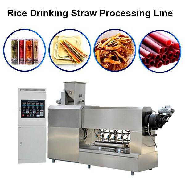 Rice Drinking Straw Making Extruder Machine / Sustainable Eco Friendly Products Processing ... #1 image