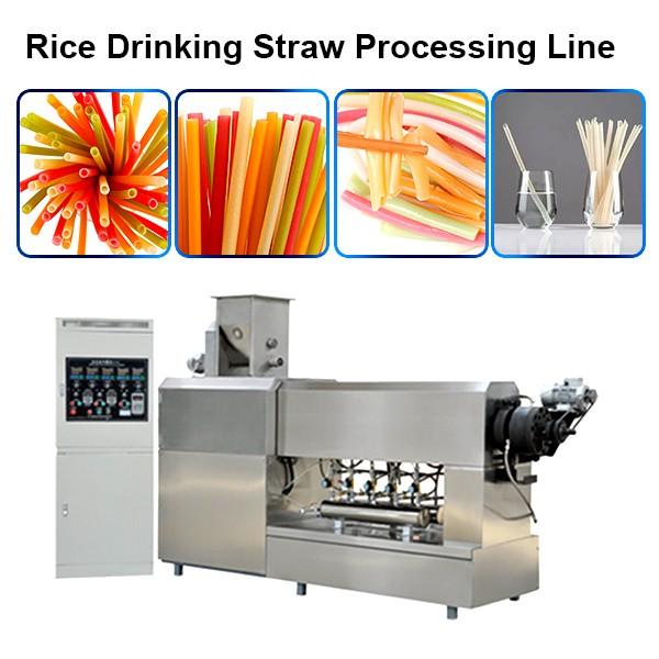 Non Plastic Drinking Straw Extruder Processing Machinery Rice Pasta Straws Manufacturing ... #1 image
