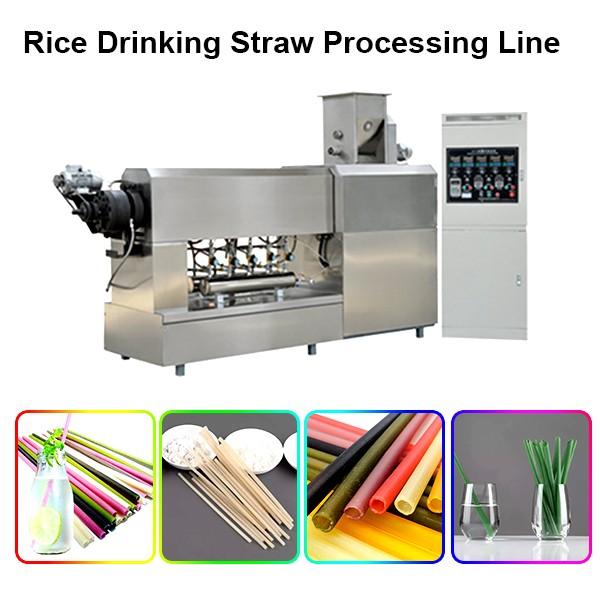 Biodegradable Drinking Straw Extruder #1 image