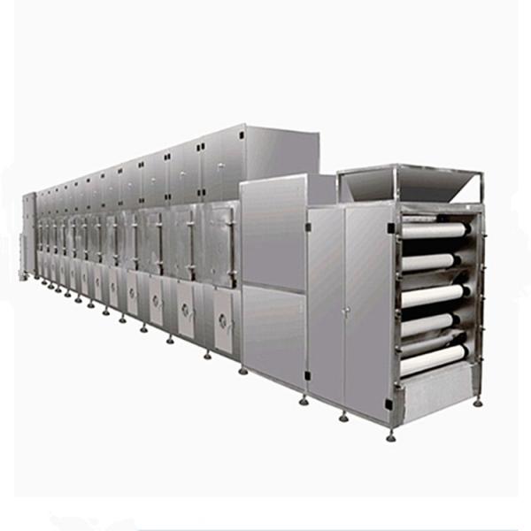 Dw Series Conveyor Mesh Belt Dryer /Drier/ Drying Machine for Ginger /Flower /Leaf #1 image
