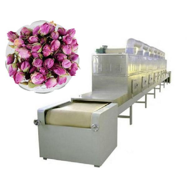 Automatic Food Conveyor Air Drying Equipment Air Cooling Dryer Machine #2 image