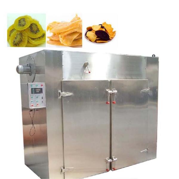 Hot Air Fruit and Vegetable Dryer Drying Machine Machinery #1 image