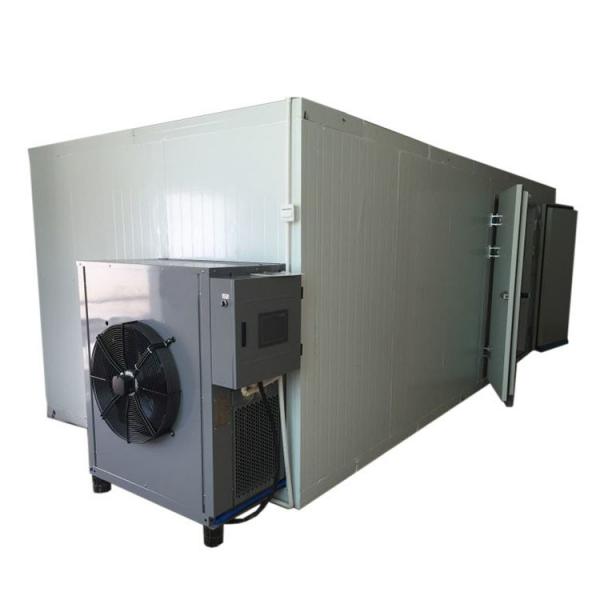 Htwx Low Temperature Tray Vacuum Microwave Fruit Vegetable Drying Dryer Machine #1 image