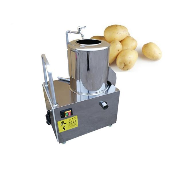 Industrial Brush Potato Peeling Cleaning Machine /Ginger Washing and Peeling Machine Peeler Peeling #1 image