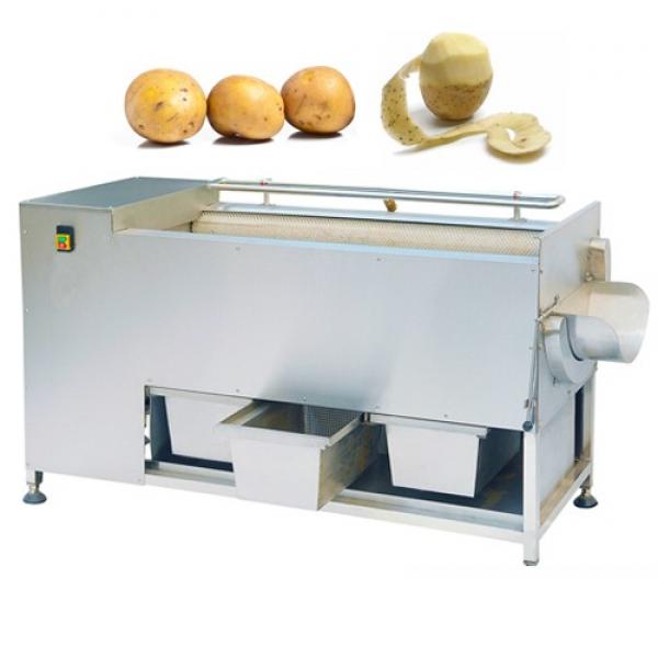 Hotsell Industrial Carrot Washing Machine Automatic Potato Peeler #1 image