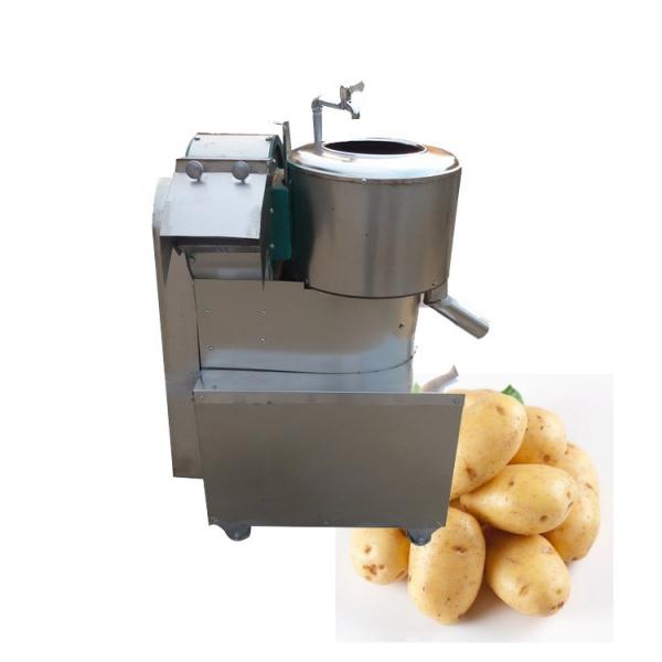 Automatic Industrial Carrot Potato Cassava Peeler #1 image