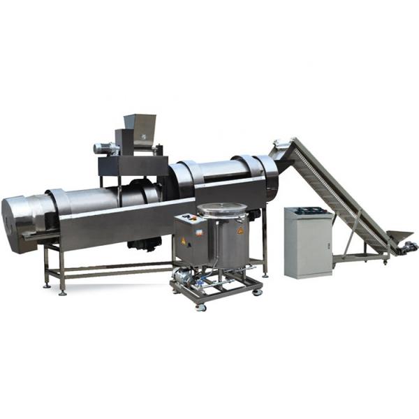 Twin Screw Extruder (Food Extruder) - for Snacks, Cereals, Pet Food, Fish Feed #1 image
