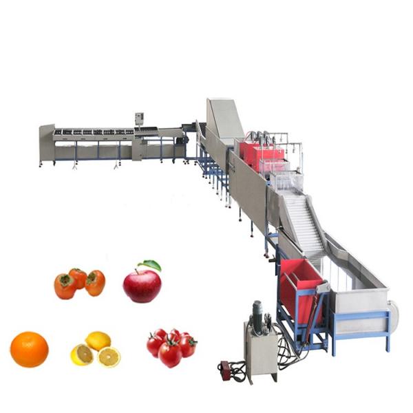 Apple/Mango/Pineapple/Orange Fruit Juice/Beverage Vetegable Concentrate Production Processing Line Pear/Peach/Lemon/Banana/Avocado Juice Making Filling Line #2 image