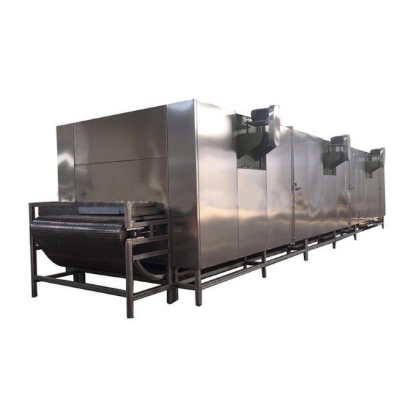 Turnkey Preserved Fruit and Vegetable Processing Line Candied Fruit Production Plant Dried Fruit and Vegetable Project Candied Preserved Fruit Processing Line #2 image